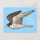 Search for coloured pencil cards Nature