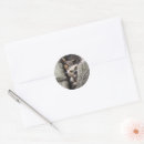 Search for horned owl stickers Birds