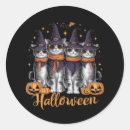 Search for ghost cat stickers Skull