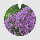 Search for lilac flower christmas tree decorations Botanical