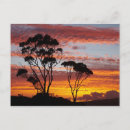 Search for fires postcards Sky