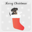 Search for stock dog stickers Snowflakes