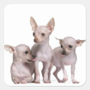 Search for bond stickers Dog