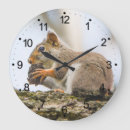Search for nature clocks Wildlife