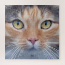 Search for cat face puzzles Feline