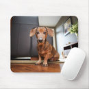 Search for mini mouse mats Animal