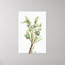 Search for rustic christmas canvas prints Watercolor