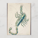Search for scorpio vertical postcards Stars