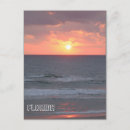 Search for surfing sunset postcards Sunrise