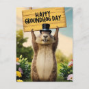 Search for groundhog day postcards Wildlife