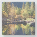 Search for sierra nevada coasters Autumn