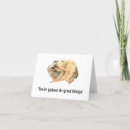 Search for guinea pig cards Celebration