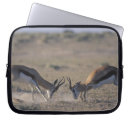 Search for side view laptop cases Nature