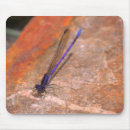 Search for damselfly mouse mats Animal