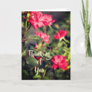 Search for expression photography Floral