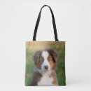 Search for pedigree bags Puppy