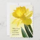 Search for daffodil photography Nature