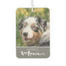Search for aussie car accessories Animal