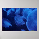 Search for blue angels posters Sea