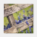 Search for fencing magnets Garden