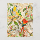 Search for ara postcards Colourful