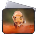 Search for the red fox electronics Canine