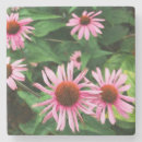 Search for herbal coasters Floral