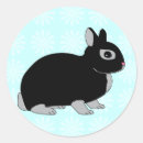 Search for dwarf bunny stickers Bunnies