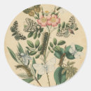 Search for staging stickers Stages