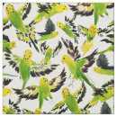 Search for budgie crafts party Watercolor