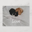 Search for orange horizontal postcards Sweet