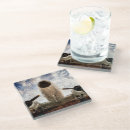 Search for aerospace barware Aviation
