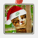 Search for tabby cat christmas tree decorations Animal