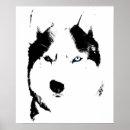 Search for husky posters Malamute