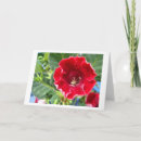 Search for geraniums cards Photography