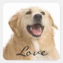 Search for golden retriever puppy stickers Puppies