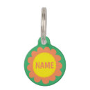 Search for orange daisy Modern