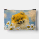 Search for pomeranian accessories Dwarf spitz