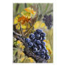 Search for provence posters Lavender