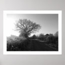 Search for winter path posters Road