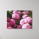 Search for hydrangea canvas prints Flowers