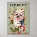 Search for yorkshire terrier posters Floral