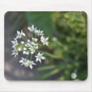 Search for delicate mouse mats Floral