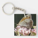 Search for butterfly pics key rings Nature photography
