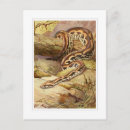 Search for vintage snake postcards Animal