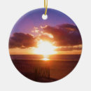 Search for sunrise christmas tree decorations Vacation
