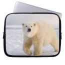 Search for arctic islands electronics Polar bear