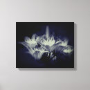 Search for white lily canvas prints Nature