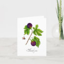 Search for fig cards Watercolor