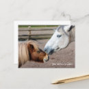Search for ponies cards Horse riding